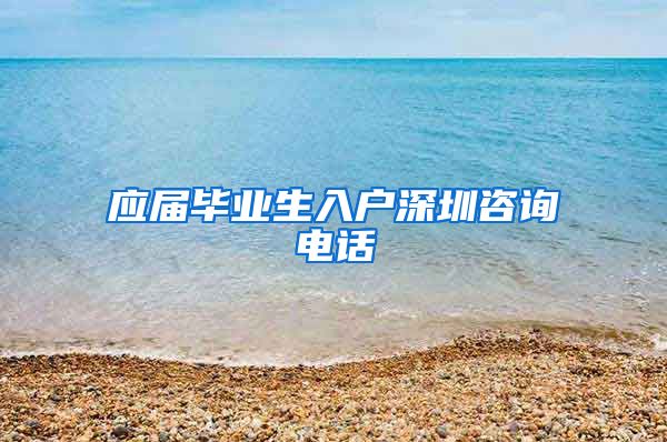 应届毕业生入户深圳咨询电话