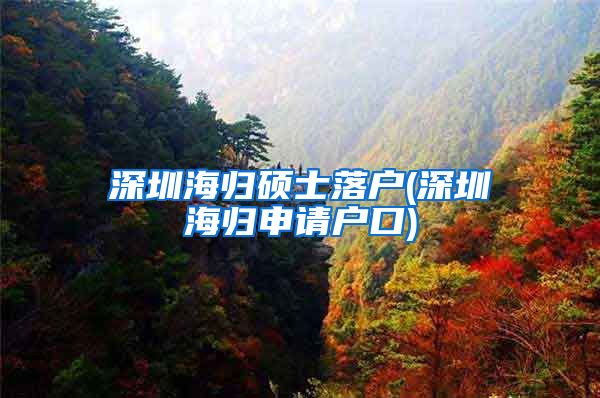 深圳海归硕士落户(深圳海归申请户口)