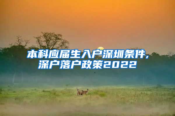 本科应届生入户深圳条件,深户落户政策2022