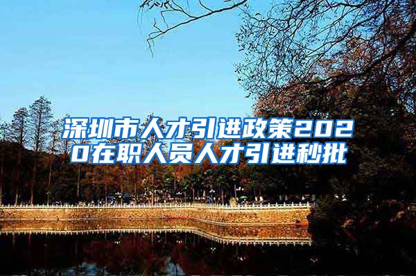 深圳市人才引进政策2020在职人员人才引进秒批