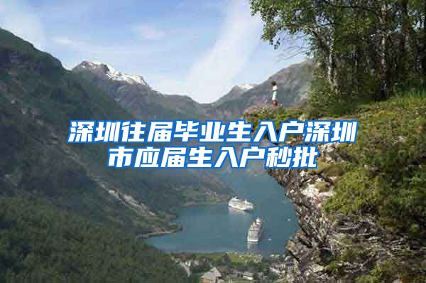 深圳往届毕业生入户深圳市应届生入户秒批