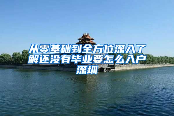 从零基础到全方位深入了解还没有毕业要怎么入户深圳