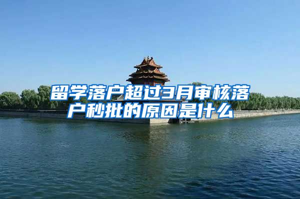 留学落户超过3月审核落户秒批的原因是什么