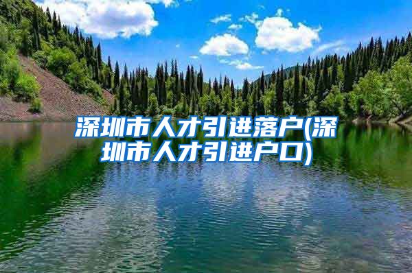 深圳市人才引进落户(深圳市人才引进户口)
