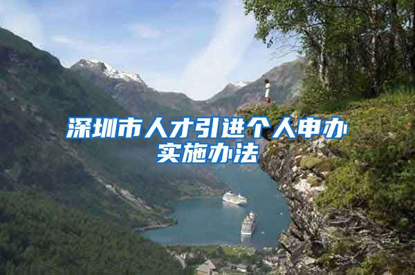 深圳市人才引进个人申办实施办法