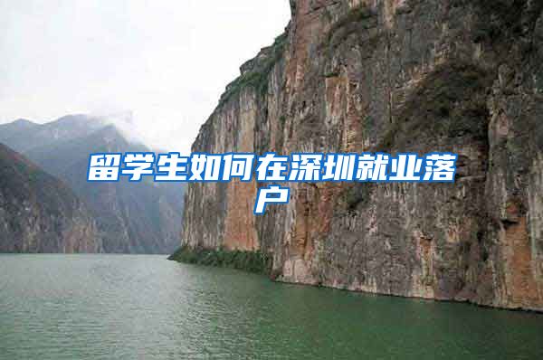 留学生如何在深圳就业落户