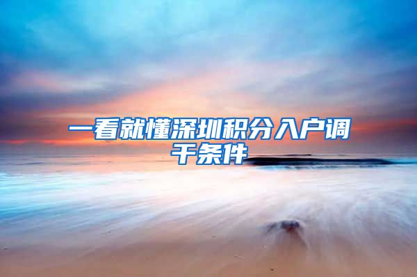 一看就懂深圳积分入户调干条件