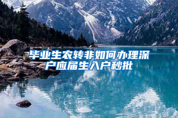 毕业生农转非如何办理深户应届生入户秒批