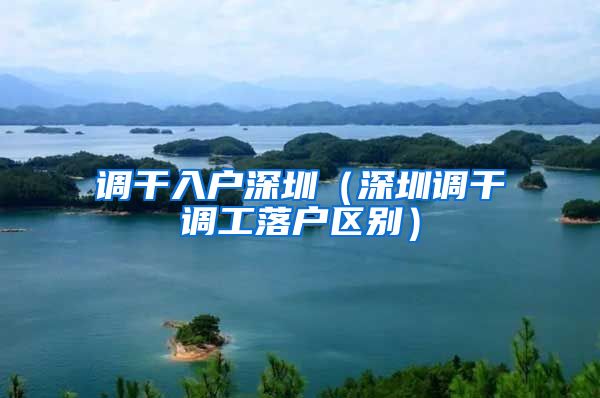 调干入户深圳（深圳调干调工落户区别）