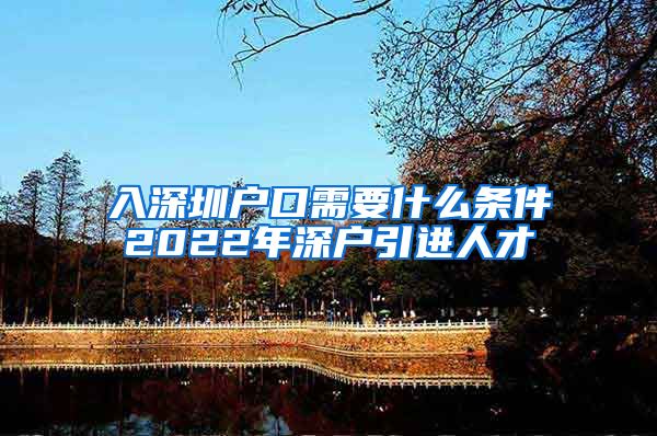 入深圳户口需要什么条件2022年深户引进人才