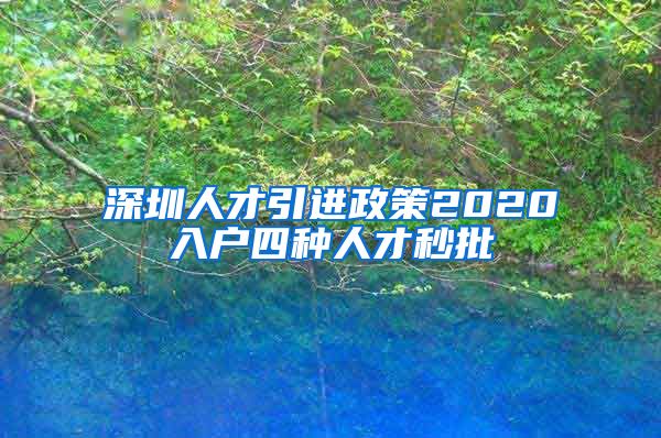 深圳人才引进政策2020入户四种人才秒批