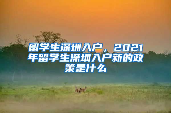 留学生深圳入户，2021年留学生深圳入户新的政策是什么