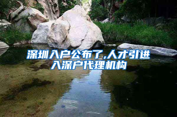 深圳入户公布了,人才引进入深户代理机构