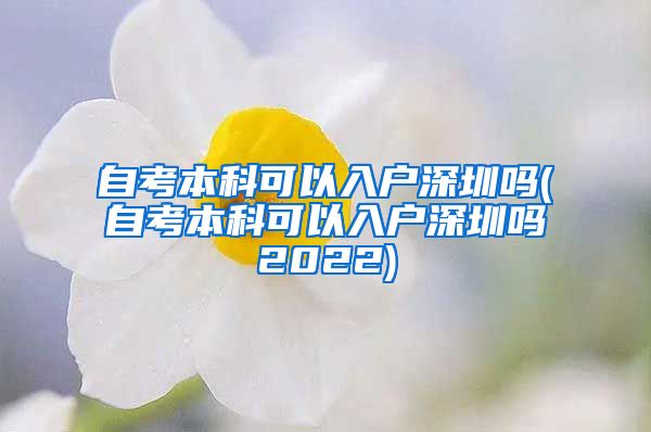 自考本科可以入户深圳吗(自考本科可以入户深圳吗2022)