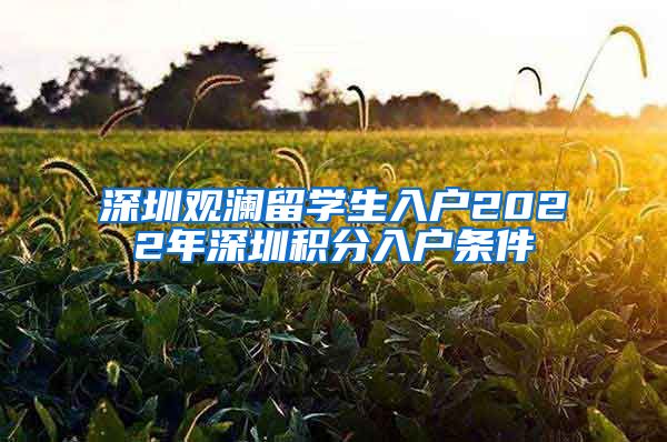 深圳观澜留学生入户2022年深圳积分入户条件
