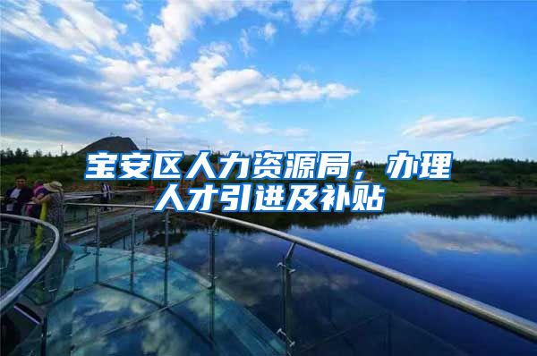宝安区人力资源局，办理人才引进及补贴