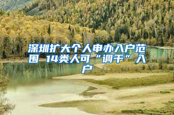 深圳扩大个人申办入户范围 14类人可“调干”入户