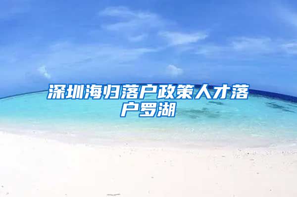 深圳海归落户政策人才落户罗湖