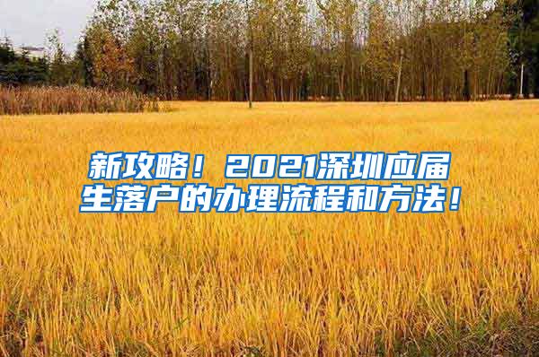 新攻略！2021深圳应届生落户的办理流程和方法！