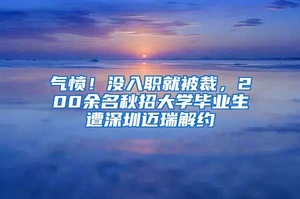 气愤！没入职就被裁，200余名秋招大学毕业生遭深圳迈瑞解约