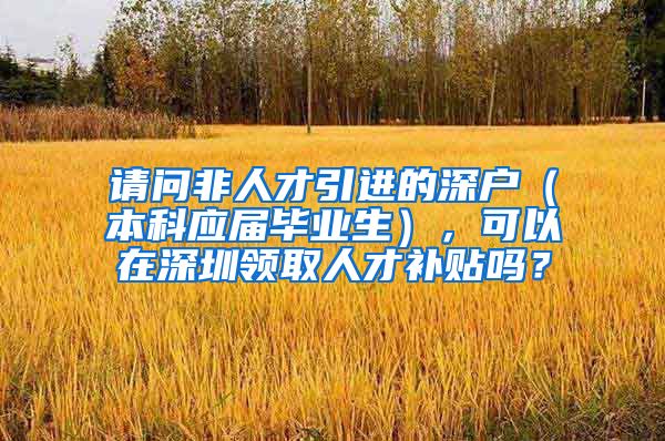 请问非人才引进的深户（本科应届毕业生），可以在深圳领取人才补贴吗？