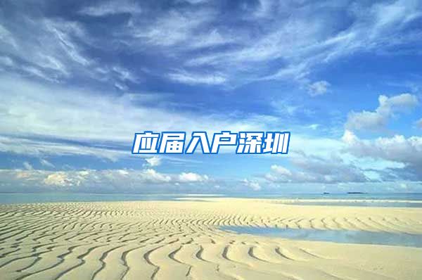 应届入户深圳