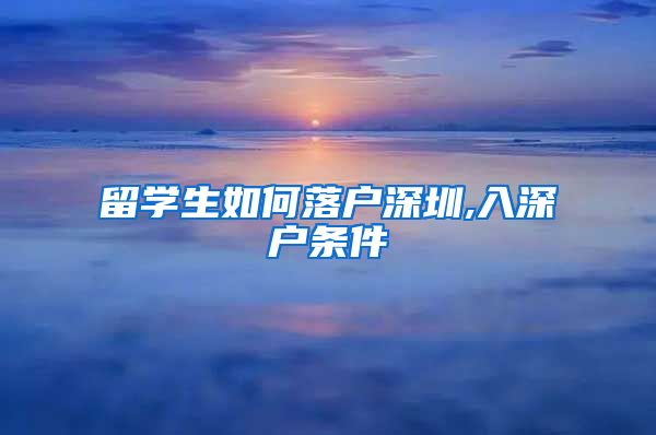 留学生如何落户深圳,入深户条件