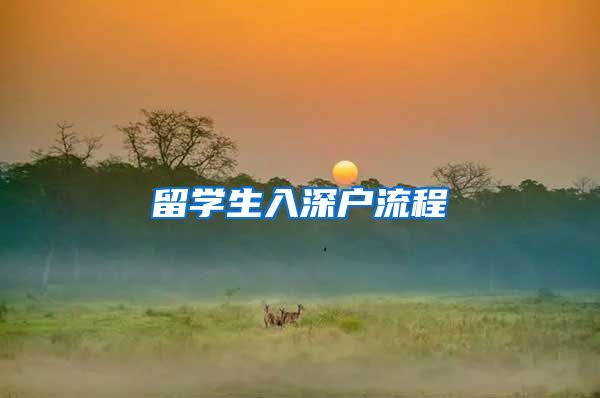 留学生入深户流程