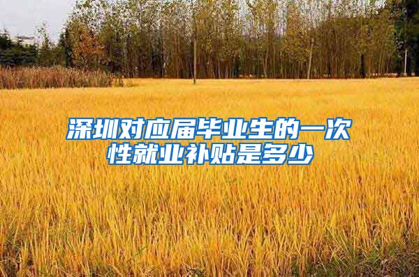 深圳对应届毕业生的一次性就业补贴是多少