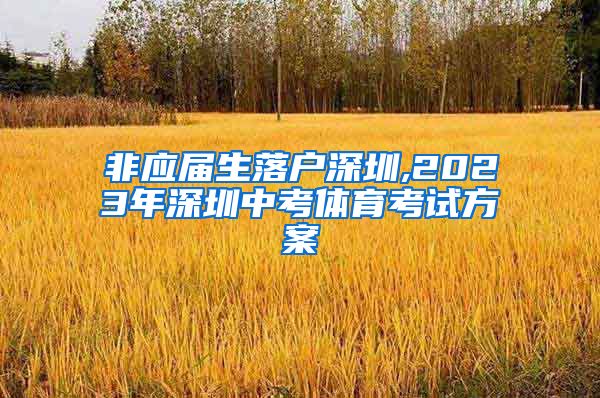 非应届生落户深圳,2023年深圳中考体育考试方案