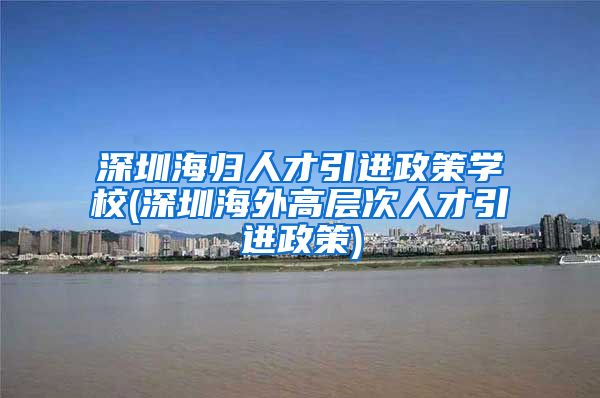 深圳海归人才引进政策学校(深圳海外高层次人才引进政策)
