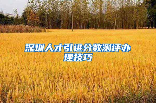 深圳人才引进分数测评办理技巧