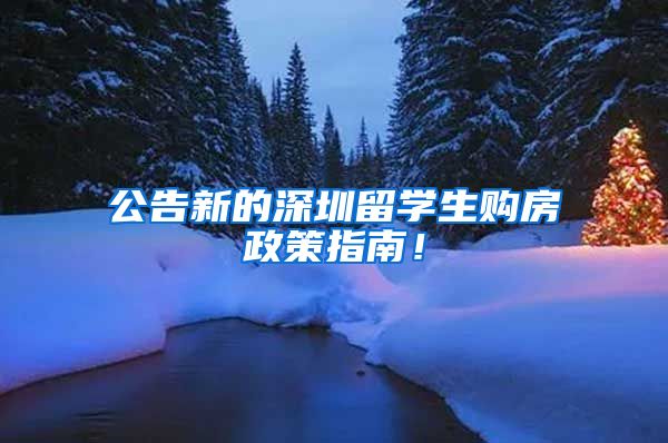 公告新的深圳留学生购房政策指南！