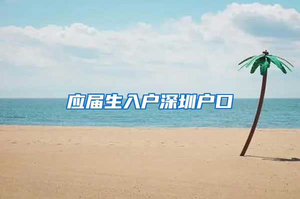 应届生入户深圳户口