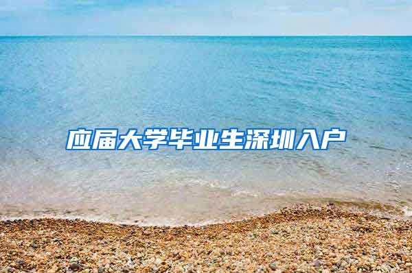 应届大学毕业生深圳入户