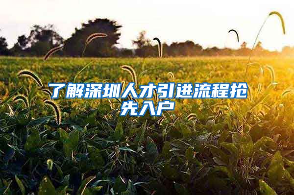 了解深圳人才引进流程抢先入户