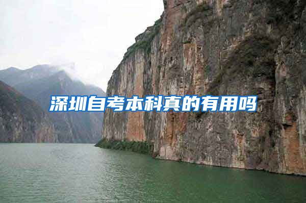 深圳自考本科真的有用吗