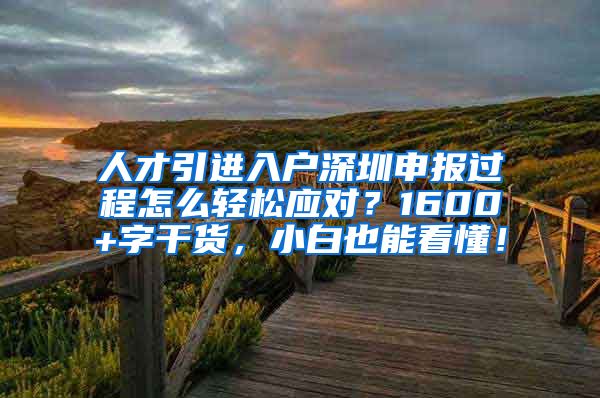 人才引进入户深圳申报过程怎么轻松应对？1600+字干货，小白也能看懂！