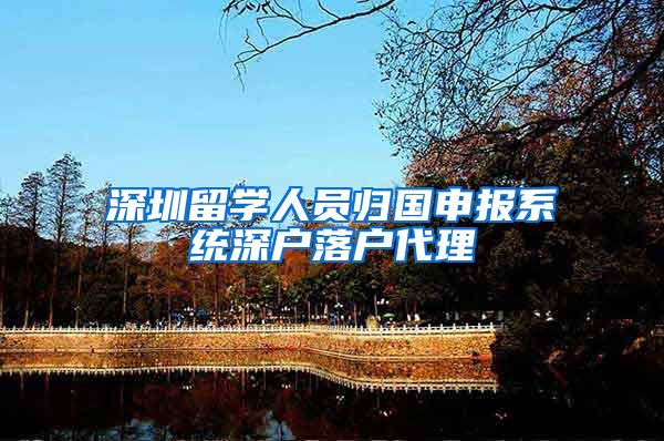 深圳留学人员归国申报系统深户落户代理
