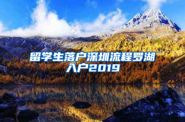 留学生落户深圳流程罗湖入户2019