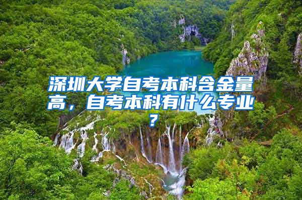 深圳大学自考本科含金量高，自考本科有什么专业？