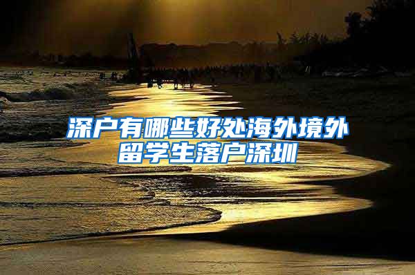 深户有哪些好处海外境外留学生落户深圳