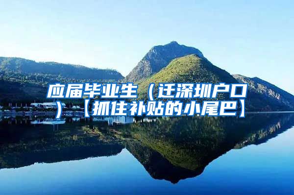 应届毕业生（迁深圳户口）【抓住补贴的小尾巴】