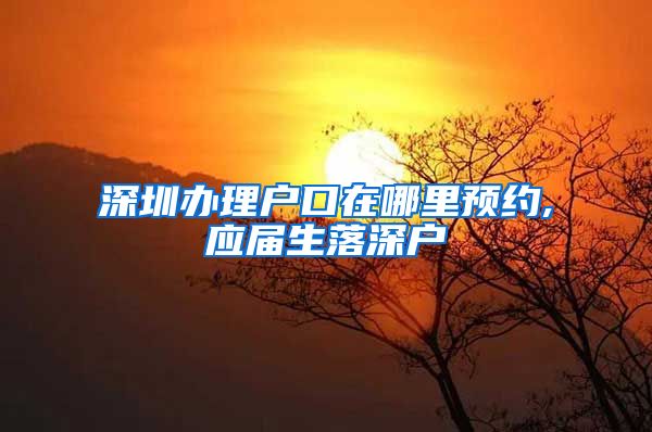 深圳办理户口在哪里预约,应届生落深户