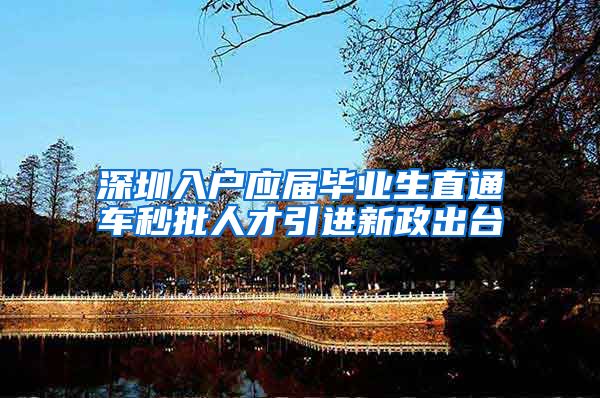 深圳入户应届毕业生直通车秒批人才引进新政出台