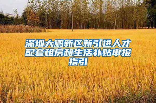 深圳大鹏新区新引进人才配套租房和生活补贴申报指引