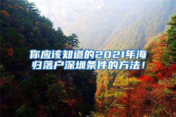 你应该知道的2021年海归落户深圳条件的方法！