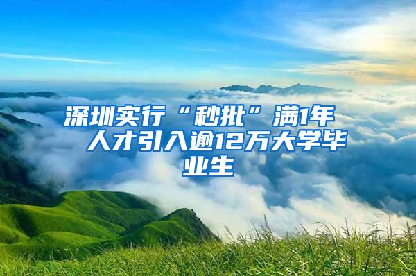 深圳实行“秒批”满1年  人才引入逾12万大学毕业生
