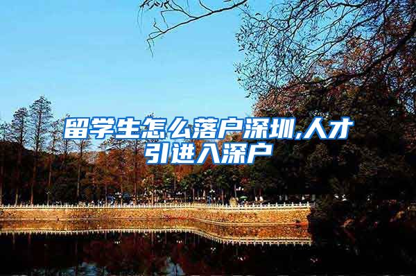 留学生怎么落户深圳,人才引进入深户
