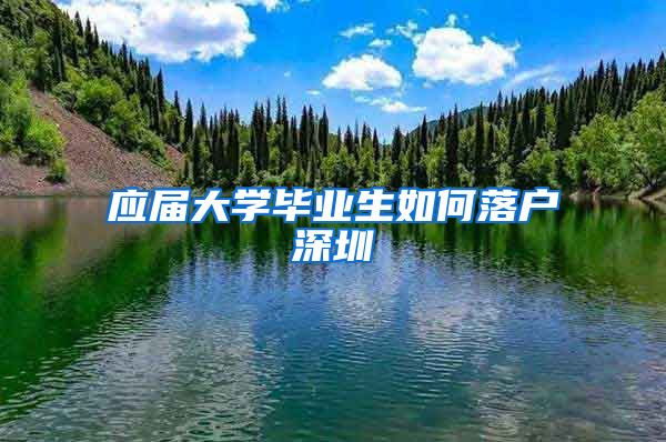 应届大学毕业生如何落户深圳